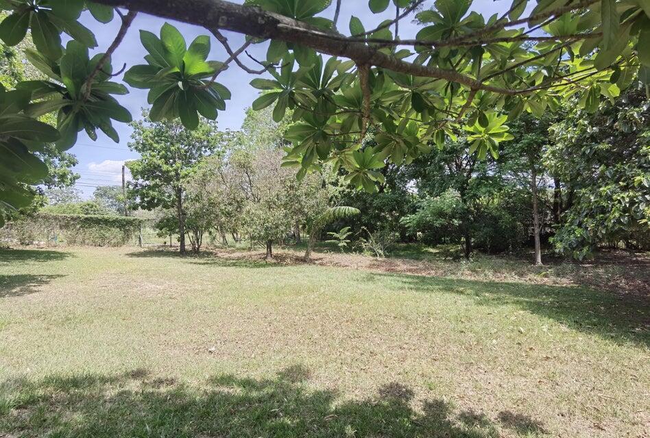 Se vende lote en Brasil Santa Ana 25-1945 en Desamparados - Imagen 5
