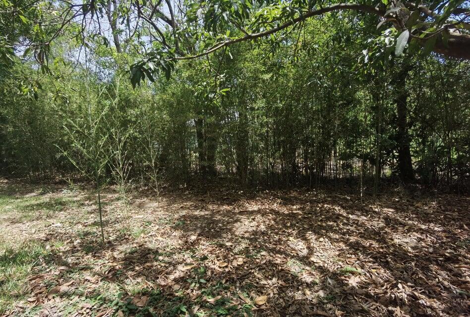 Se vende lote en Brasil Santa Ana 25-1945 en Desamparados - Imagen 4