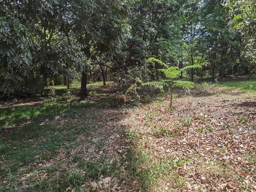Se vende lote en Brasil Santa Ana 25-1945 en Desamparados - Imagen 6