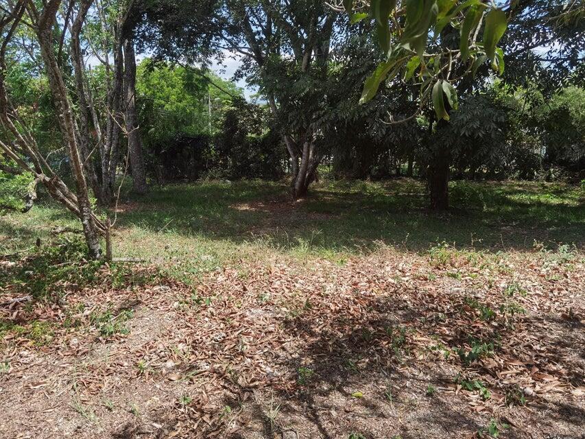 Se vende lote en Brasil Santa Ana 25-1945 en Desamparados - Imagen 7