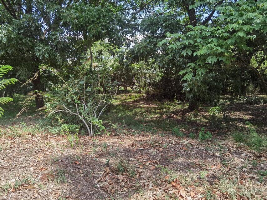 Se vende lote en Brasil Santa Ana 25-1945 en Desamparados - Imagen 8