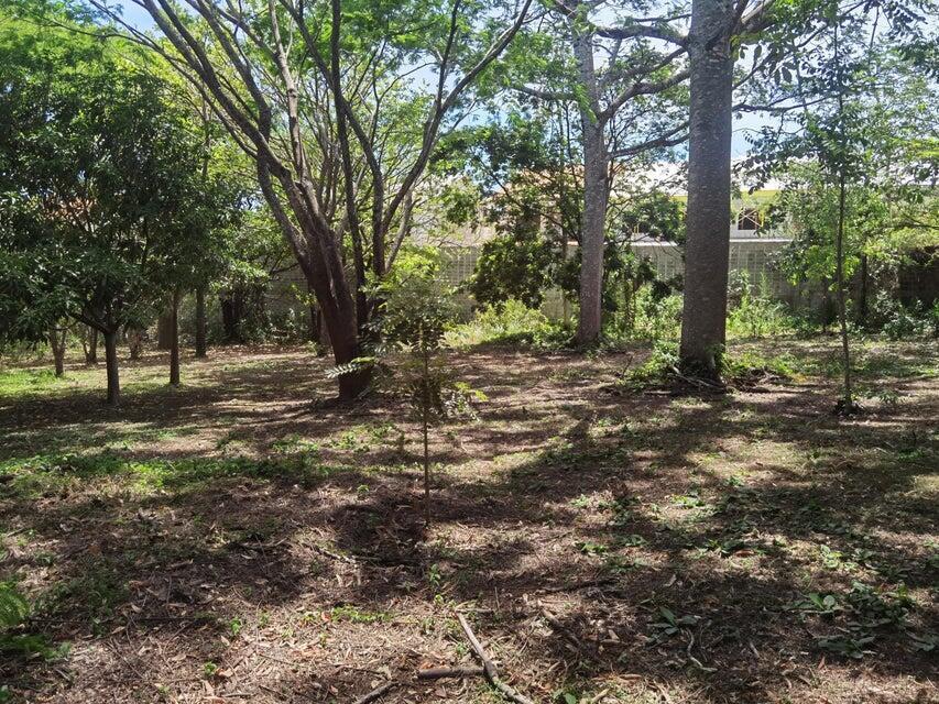 Se vende lote en Brasil Santa Ana 25-1945 en Desamparados - Imagen 10