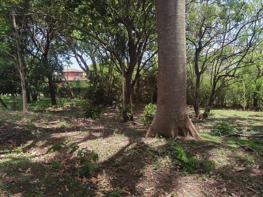 Se vende lote en Brasil Santa Ana 25-1945 en Desamparados - Imagen 12