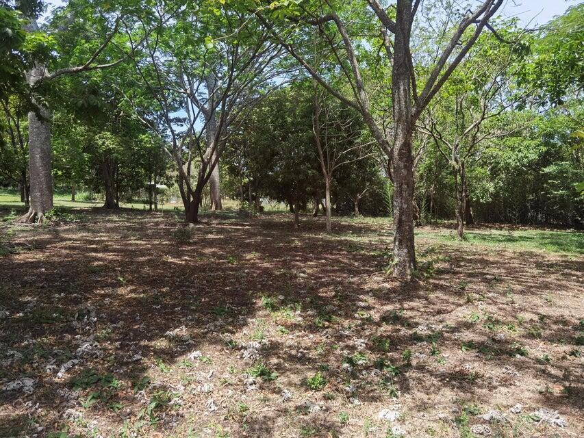 Se vende lote en Brasil Santa Ana 25-1945 en Desamparados - Imagen 13