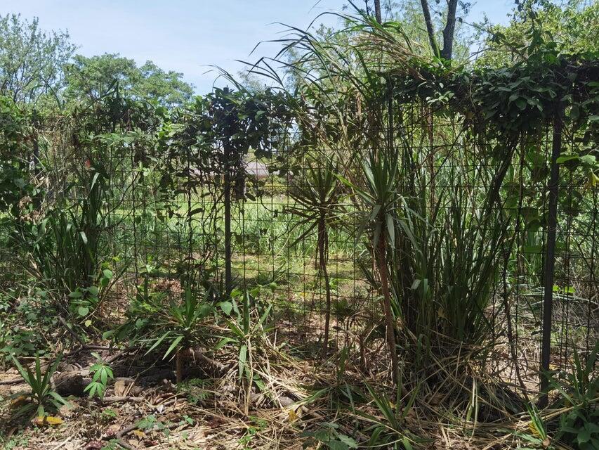 Se vende lote en Brasil Santa Ana 25-1945 en Desamparados - Imagen 14