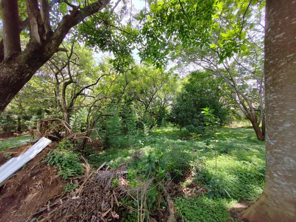 Se vende lote en Brasil Santa Ana 25-1945 en Desamparados - Imagen 19