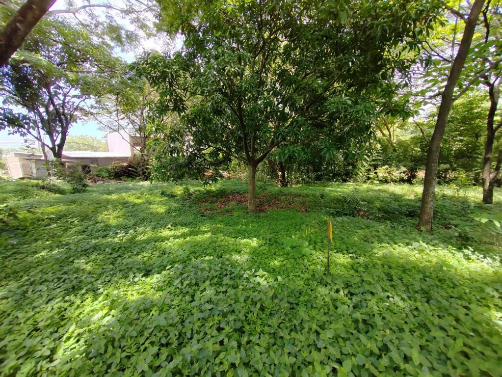 Se vende lote en Brasil Santa Ana 25-1945 en Desamparados - Imagen 20