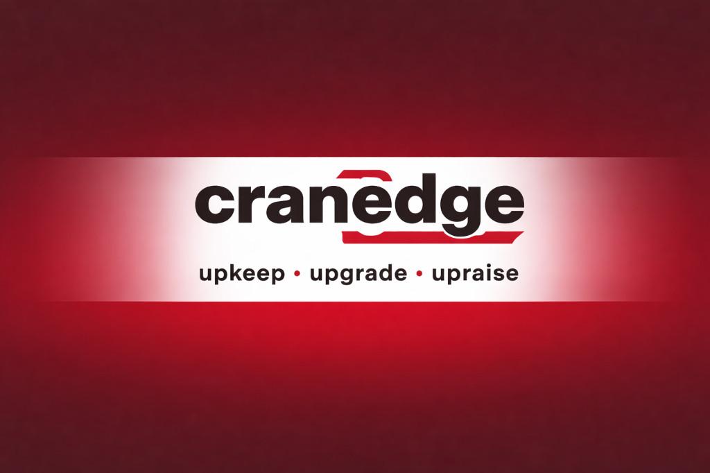 Professional Crane Service Provider Solutions in Bavdhan - Image 1