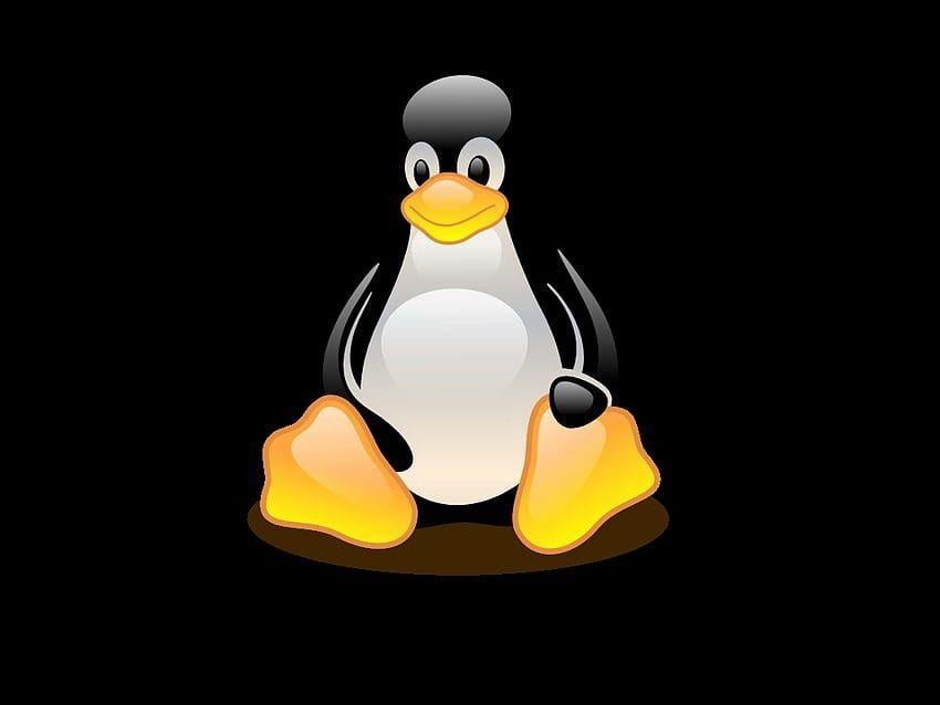 Freelance Linux/Unix Consultancy in Orchard - Image 1