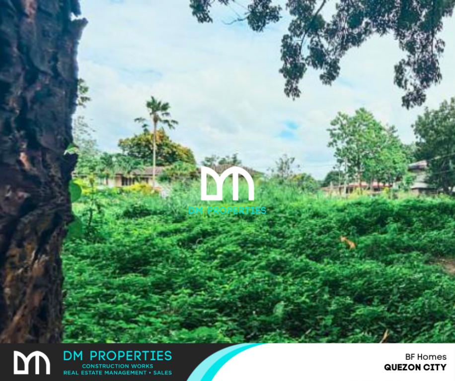 For Sale Corner Vacant Lot in BF Homes, Quezon City in Soccorro - Image 1