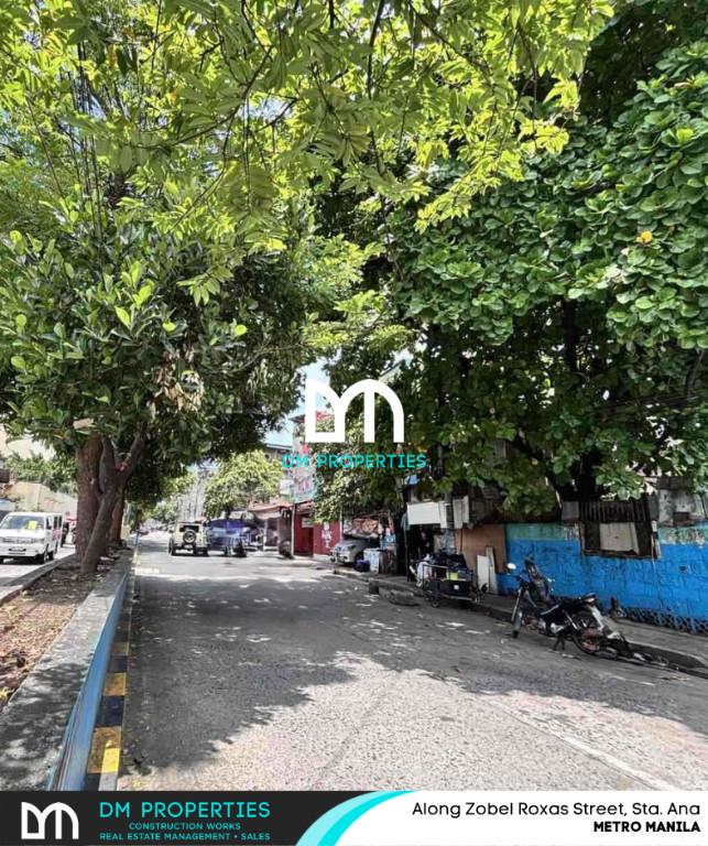 For Sale Vacant Lot along Zobel Roxas Street, Sta Ana, Manila in Soccorro - Image 3