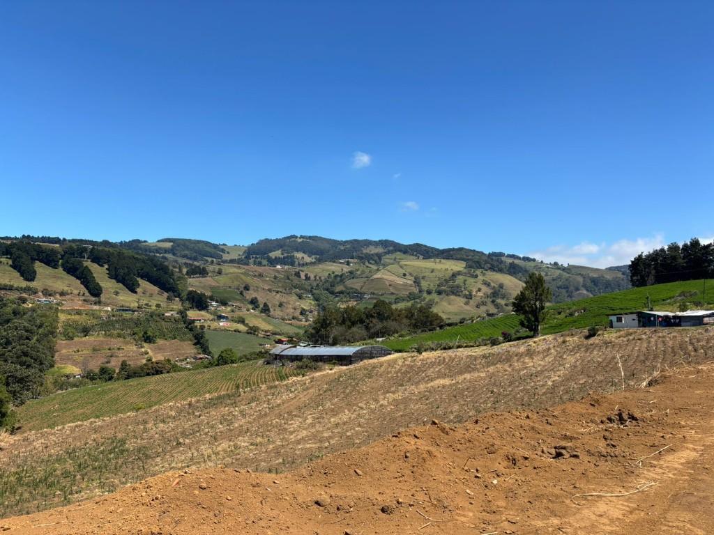 SE VENDEN 2 BELLAS PROPIEDADES EN NARANJO. en Naranjo - Imagen 1