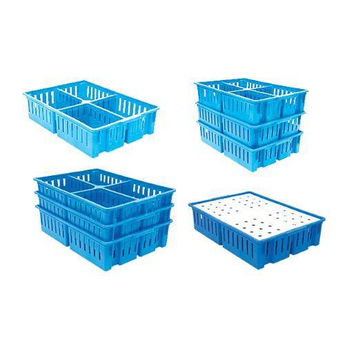 CESTA PARA TRANSPORTAR POLLITOS BEBE CAPACIDAD 100 AVES en Venezuela - Imagen 3
