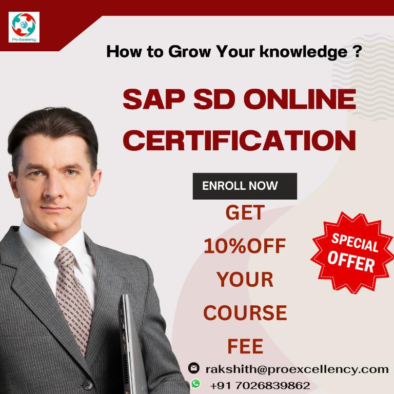 How to Learn SAP SD Process Flow Complete Guide to Sales and Di in India - Image 1