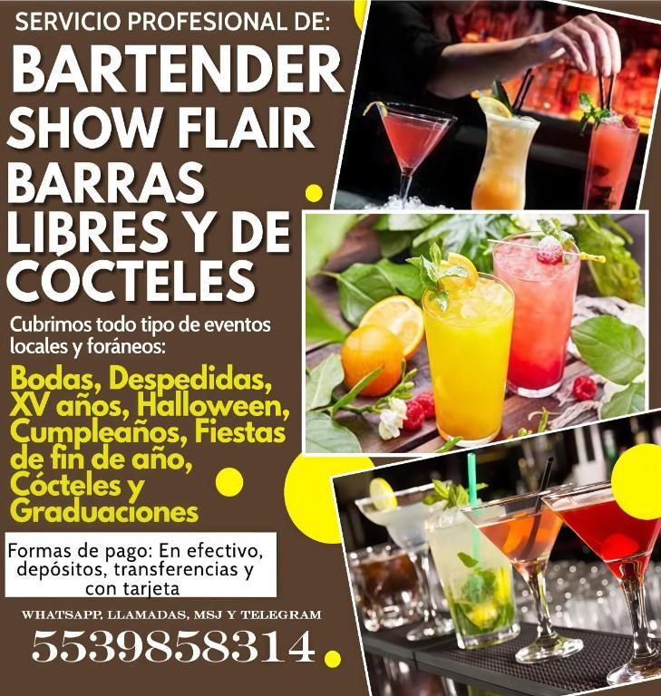 BARTENDER Y BARRAS LIBRES en México - Imagen 1