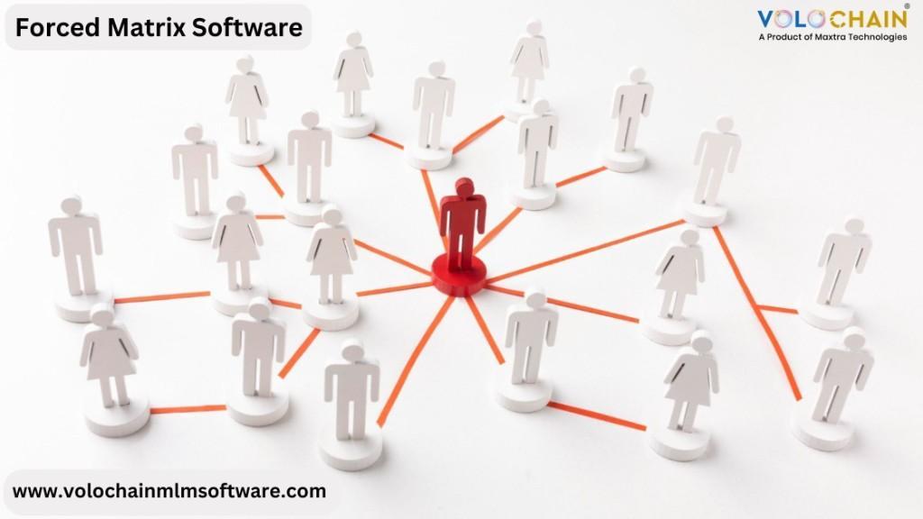 Grow Fast with Forced Matrix MLM Software Strategy Model in Noida - Image 1