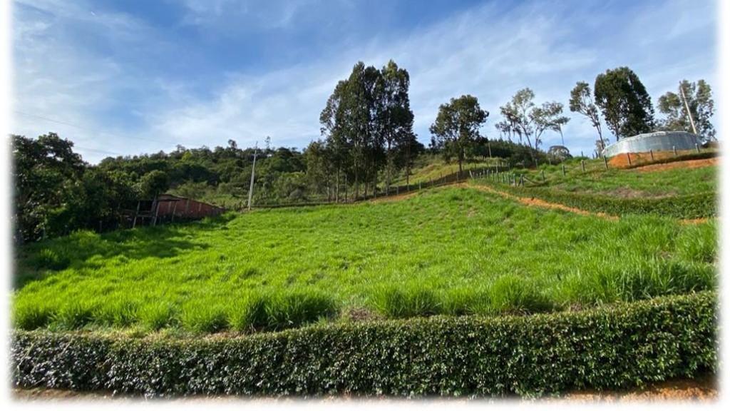 PARCELACIÓN - MIRALINDO en Colombia - Imagen 5