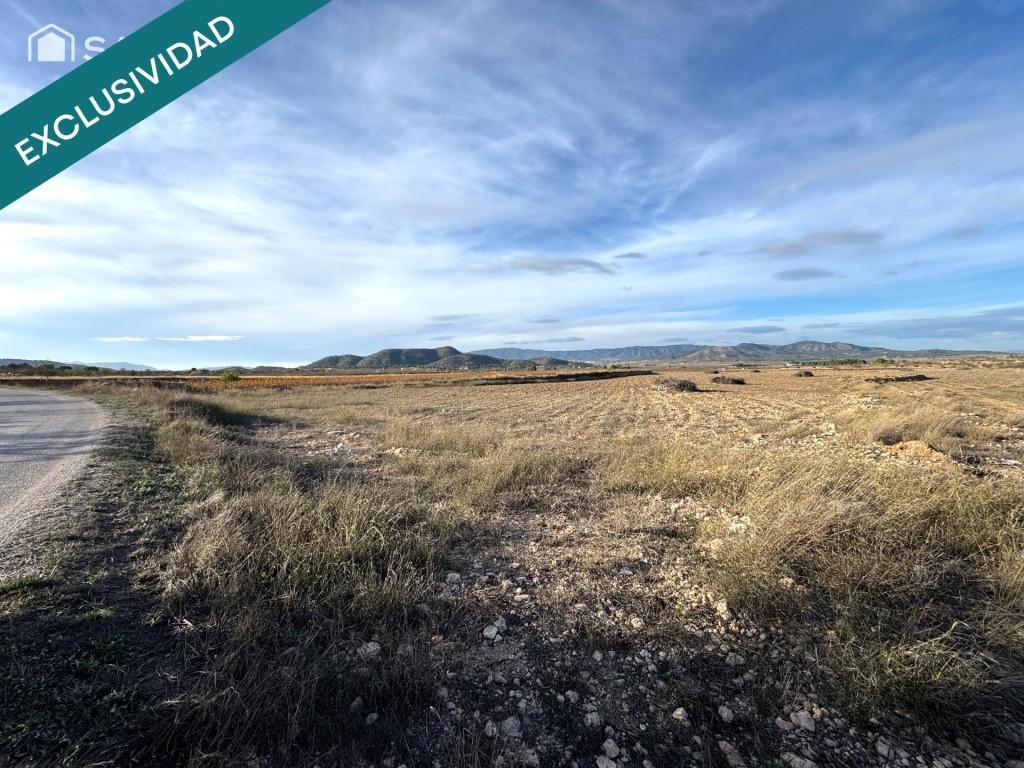 EXCLUSIVA OPORTUNIDAD – PARCELAS RÚSTICAS EN CASAS DE … en Elda - Imagen 1