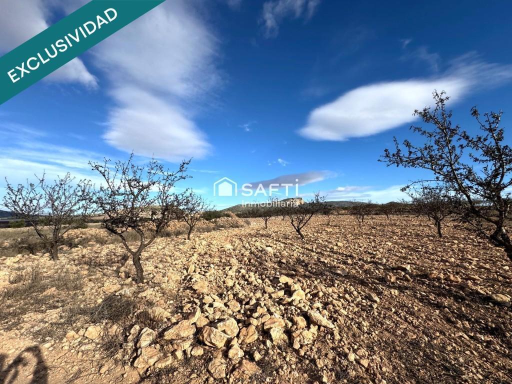 EXCLUSIVA OPORTUNIDAD – PARCELAS RÚSTICAS EN CASAS DE … en Elda - Imagen 1