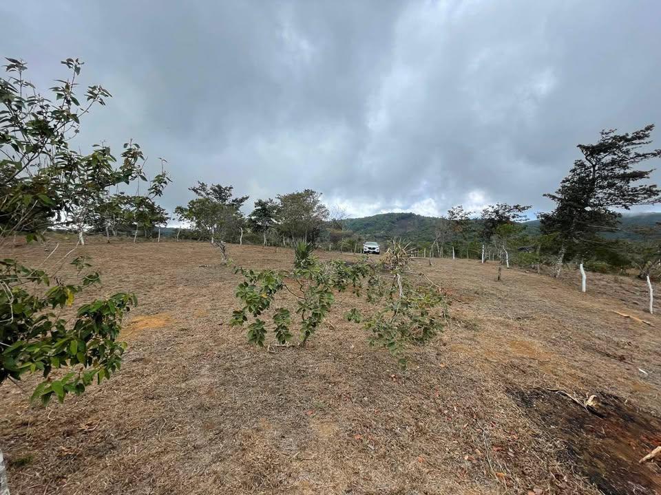 LOTE SAN RAMON DE ALAJUELA, EN RESIDENCIAL PRIVADO en Naranjo - Imagen 3
