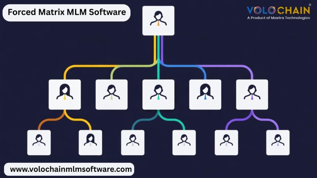 Grow Your Business Faster with Forced Matrix MLM Software in Noida - Image 1