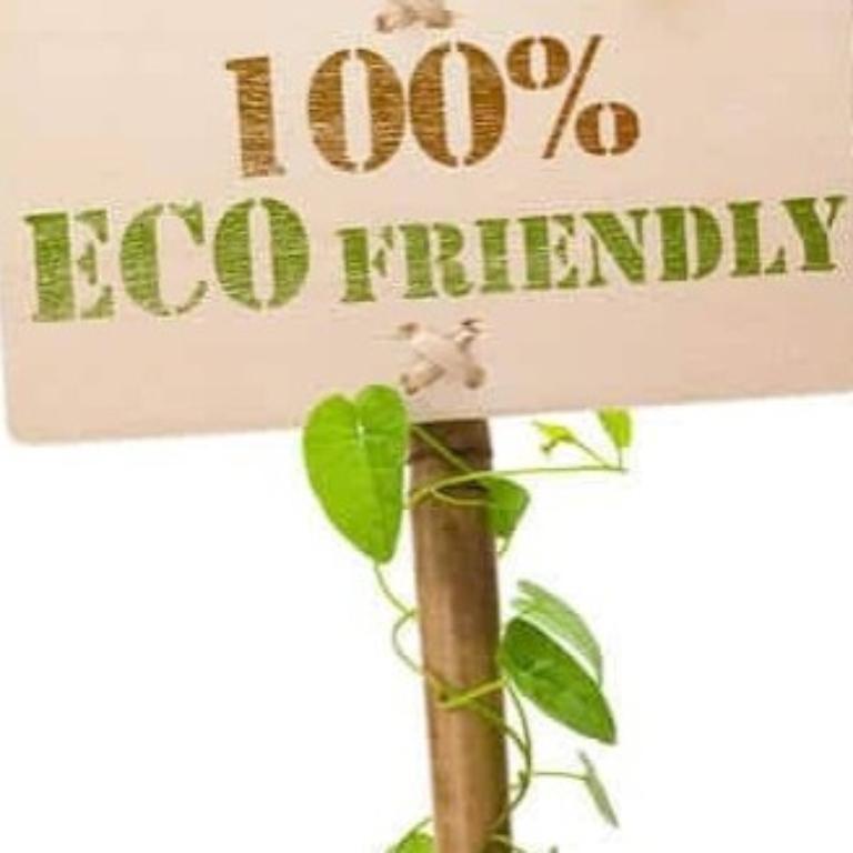 Pest control services in South Africa - Image 2