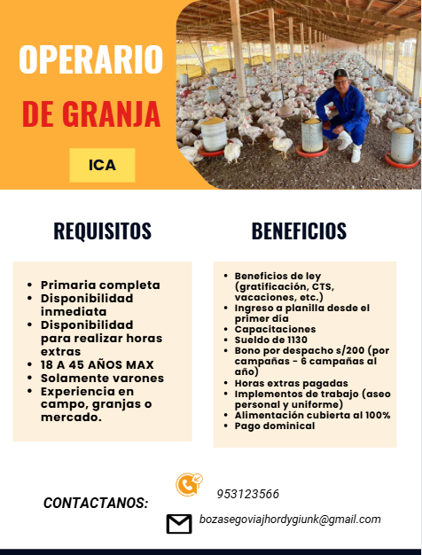 Operario de granja en Perú - Imagen 1