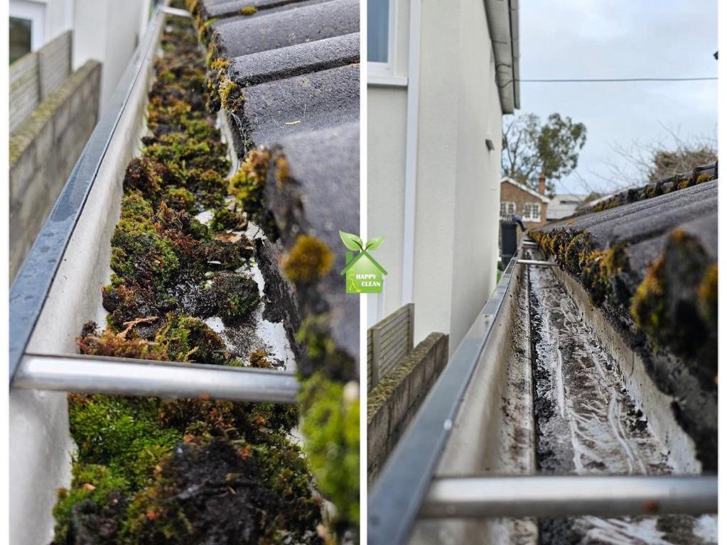 PROFESSIONAL GUTTER CLEANING in Swords - Image 2