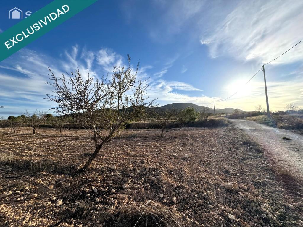 EXCLUSIVA OPORTUNIDAD – PARCELAS RÚSTICAS EN CASAS DE … en Elda - Imagen 1