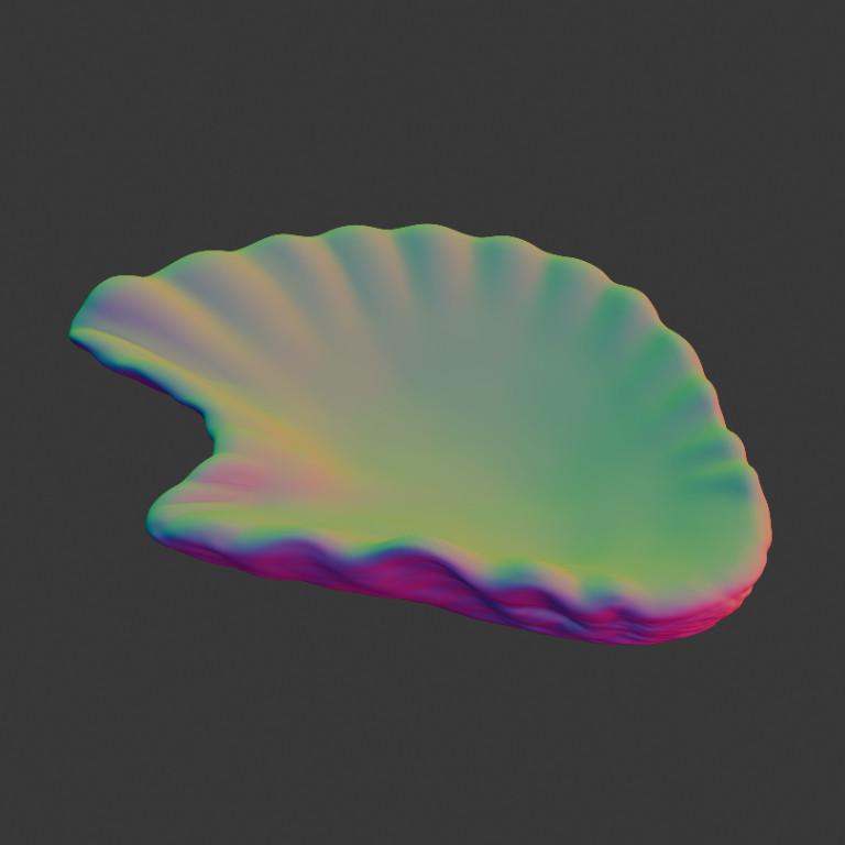 Oyster Shell (Volume 11) in Varanasi - Image 6
