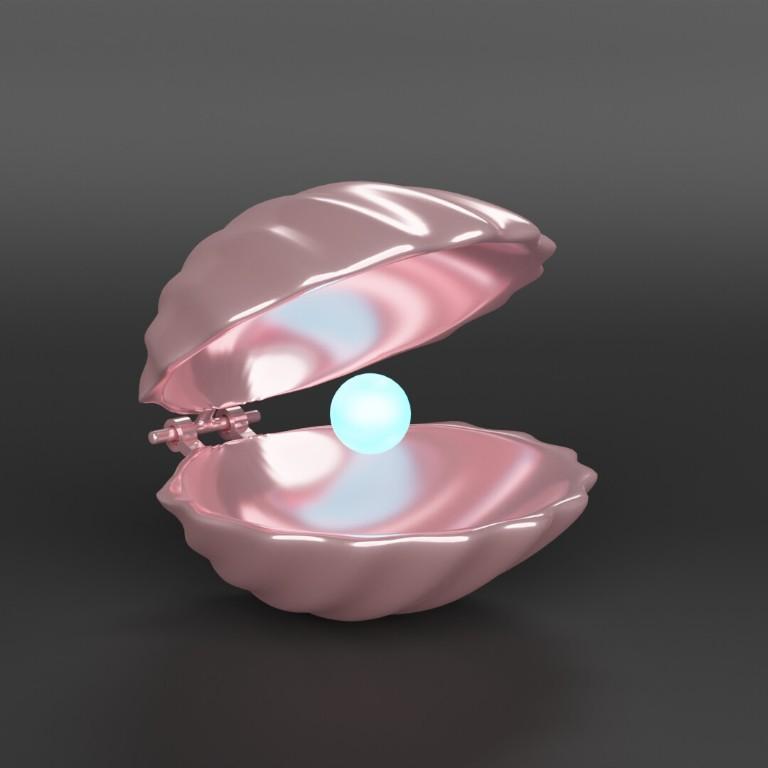 Premium Sea Shell & Oyster Collection – Digital 3D Models in Varanasi - Image 1