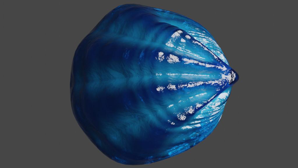 Premium Sea Shell & Oyster Collection – Digital 3D Models in Varanasi - Image 9