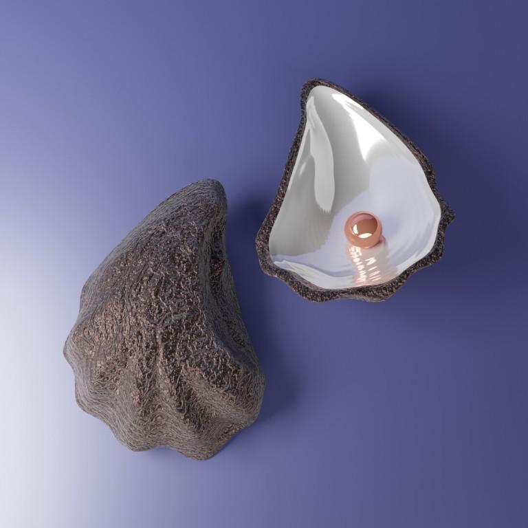 Premium Sea Shell & Oyster Collection – Digital 3D Models in Varanasi - Image 2