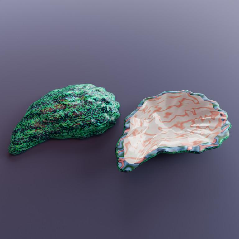 Premium Sea Shell & Oyster Collection – Digital 3D Models in Varanasi - Image 5