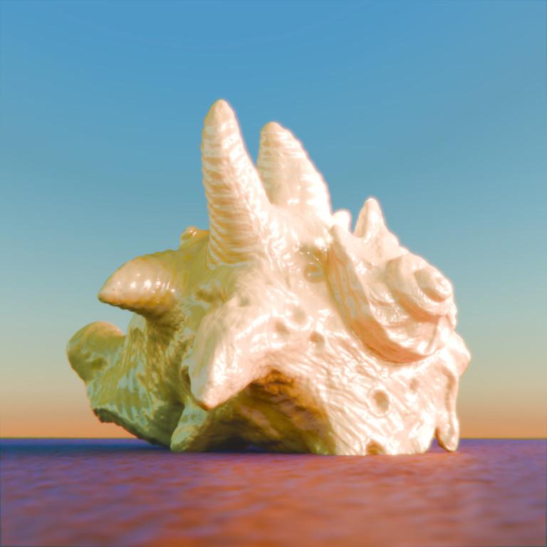 Premium Sea Shell & Oyster Collection – Digital 3D Models in Varanasi - Image 10