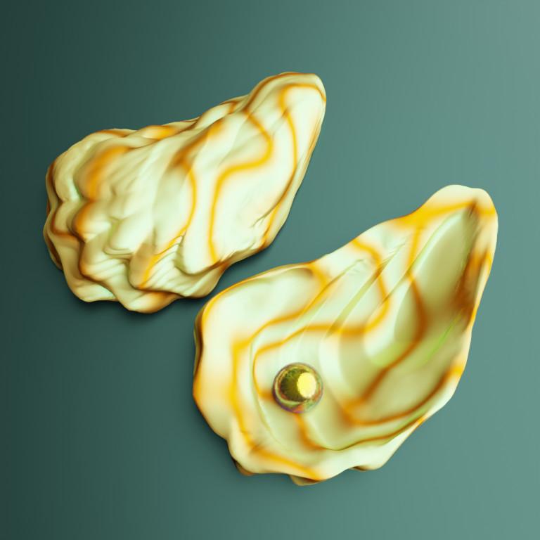 Premium Sea Shell & Oyster Collection – Digital 3D Models in Varanasi - Image 4