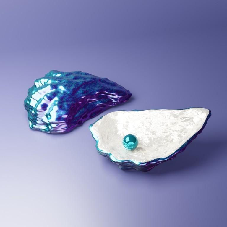 Premium Sea Shell & Oyster Collection – Digital 3D Models in Varanasi - Image 3