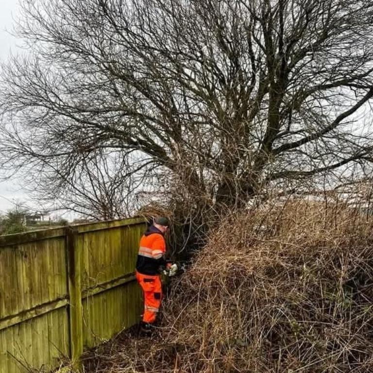 M.R Gardening & Tree Service in Dublin - Image 3