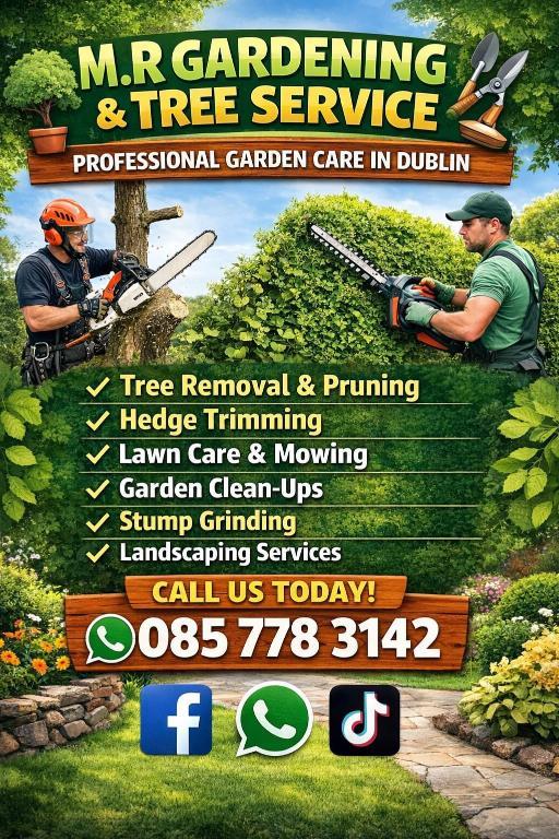M.R Gardening & Tree Service in Dublin - Image 9
