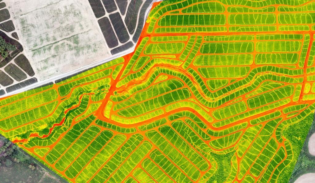 SERVICIOS DE TOPOGRAFIA en Ecuador - Imagen 8