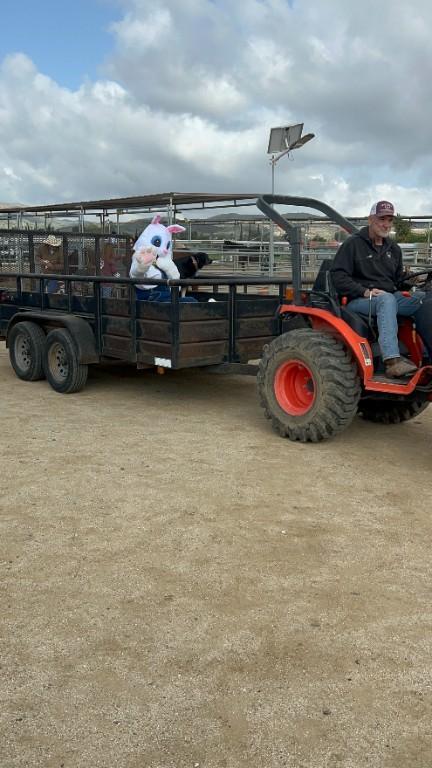 Spring Fair at Providence Heart Ranch in United States - Image 2