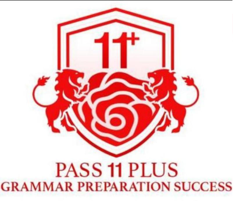 Pass 11 Plus Grammar Preparation Success in Rubery - Image 2