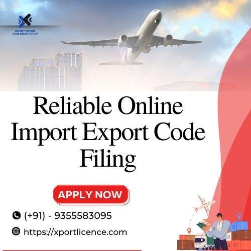 Reliable Online Import Export Code Filing in India - Image 1