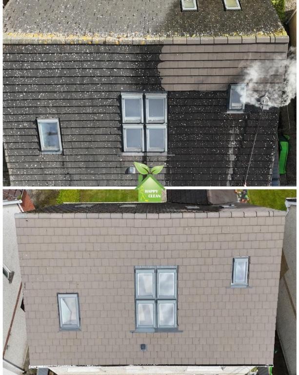 PROFESSIONAL ROOF CLEANING in Swords - Image 1