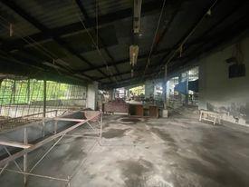 Calibutbut, Bacolor, House For Rent in Concepcion - Image 1