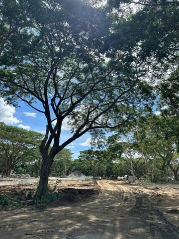 Don Jose, Santa Rosa, Lot For Sale in Tayabas - Image 1