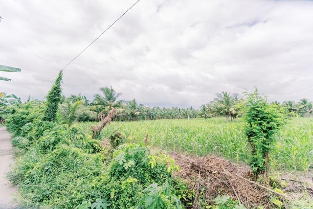 Digos, Lot For Sale in Santa Cruz - Image 1