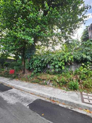 Blue Ridge A, Quezon, Lot For Sale in Angono - Image 1