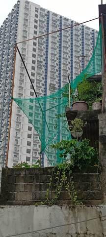 Project 8, Project,quezon, House For Sale in Bagong Pagasa - Image 1