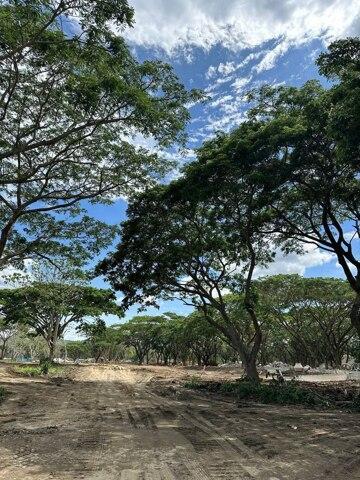 Don Jose, Santa Rosa, Lot For Sale in Tayabas - Image 1